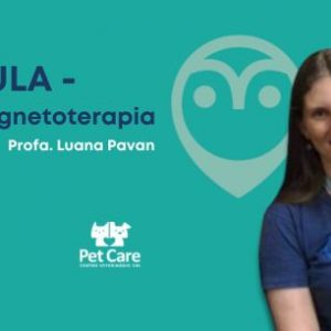 Aula - Magnetoterapia | Fisioterapia em cães e gatos