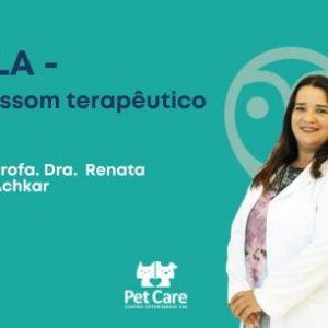 Aula - Ultrassom terapêutico | Fisioterapia em cães e gatos