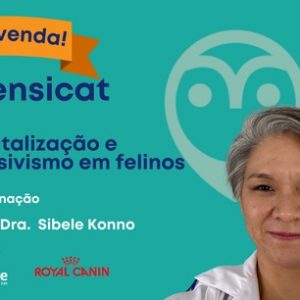 Intensicat - Hospitalização e Intensivismo em felinos