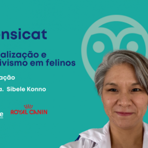 Intensicat - Hospitalização e Intensivismo em felinos