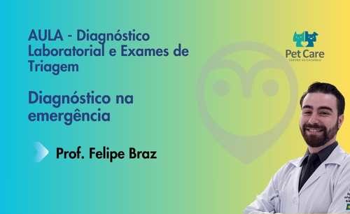 Aula – Diagnóstico Laboratorial e Exames de Triagem