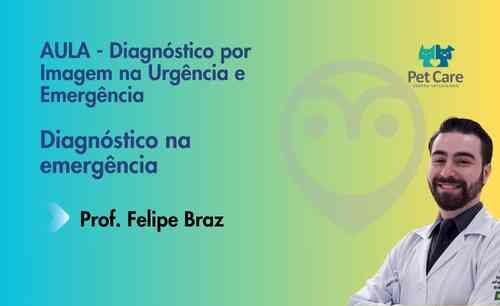 Aula – Diagnóstico por Imagem na Urgência e Emergência