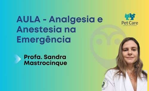Aula – Analgesia e Anestesia na Emergência